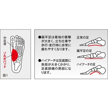 ソルボタテアーチサポーター 三進興産