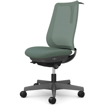 ポータムシリーズ/肘なし/背メッシュ/スタンダードタイプ/ダークグレーボディ/ハンガー有/ランバー無/ナイロンキャスター オカムラ(岡村製作所)