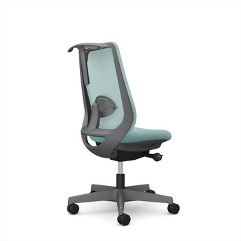 ポータムシリーズ/肘なし/背メッシュ/スタンダードタイプ/ダークグレーボディ/ハンガー有/ランバー有/ナイロンキャスター オカムラ(岡村製作所)