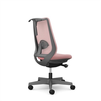 ポータムシリーズ/肘なし/背メッシュ/スタンダードタイプ/ダークグレーボディ/ハンガー有/ランバー有/ナイロンキャスター オカムラ(岡村製作所)