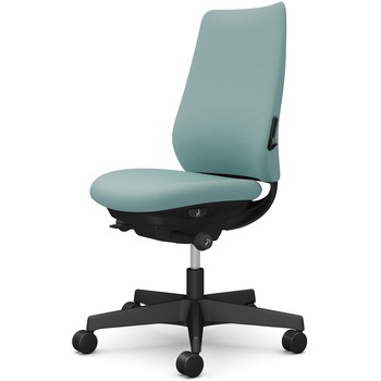 ポータムシリーズ/肘なし/背クッション/スタンダードタイプ/ブラックボディ/ハンガー無/ランバー有/ウレタンキャスター オカムラ(岡村製作所)