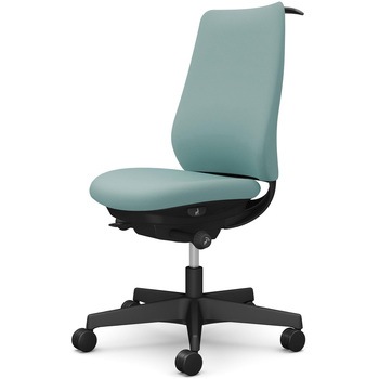 ポータムシリーズ/肘なし/背クッション/スタンダードタイプ/ブラックボディ/ハンガー有/ランバー無/ナイロンキャスター オカムラ(岡村製作所)