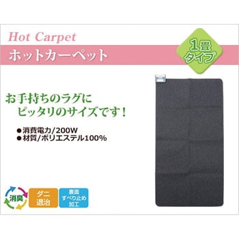 SUS-101 空気をキレイにする ホットカーペット 本体 1枚 YAMAZEN(山善