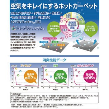 空気をキレイにする ホットカーペット 本体