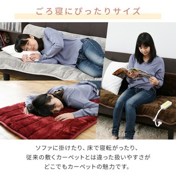 柔らかフランネル 洗えるどこでもカーペット YAMAZEN(山善)