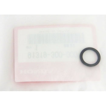 91319-300-000 (91319)OO z_ 26200728