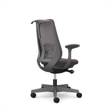 ポータムシリーズ/固定肘/背メッシュ/スタンダードタイプ/ダークグレーボディ/ハンガー有/ランバー有/ナイロンキャスター オカムラ(岡村製作所)