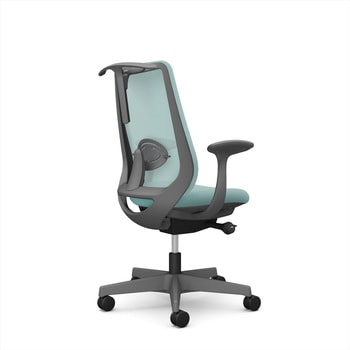 ポータムシリーズ/固定肘/背メッシュ/スタンダードタイプ/ダークグレーボディ/ハンガー有/ランバー有/ナイロンキャスター オカムラ(岡村製作所)