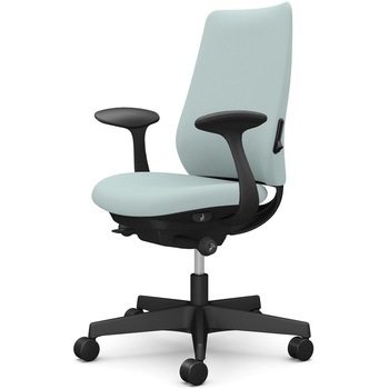 ポータムシリーズ/固定肘/背クッション/スタンダードタイプ/ブラックボディ/ハンガー無/ランバー有/ナイロンキャスター オカムラ(岡村製作所)