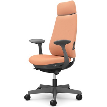 ポータムシリーズ/固定肘/背クッション/EXスタンダードタイプ/ダークグレー/ハンガー無/ランバー有/ナイロンキャスター オカムラ(岡村製作所)