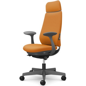 ポータムシリーズ/固定肘/背クッション/EXスタンダードタイプ/ダークグレー/ハンガー無/ランバー有/ナイロンキャスター オカムラ(岡村製作所)