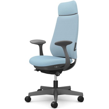 ポータムシリーズ/固定肘/背クッション/EXスタンダードタイプ/ダークグレー/ハンガー無/ランバー有/ナイロンキャスター オカムラ(岡村製作所)