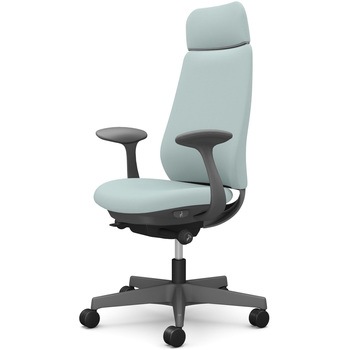 ポータムシリーズ/固定肘/背クッション/EXスタンダードタイプ/ダークグレー/ハンガー無/ランバー無/ウレタンキャスター オカムラ(岡村製作所)