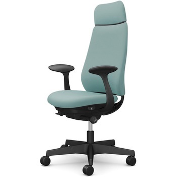 ポータムシリーズ/固定肘/背クッション/EXスタンダードタイプ/ブラックボディ/ハンガー無/ランバー無/ウレタンキャスター オカムラ(岡村製作所)