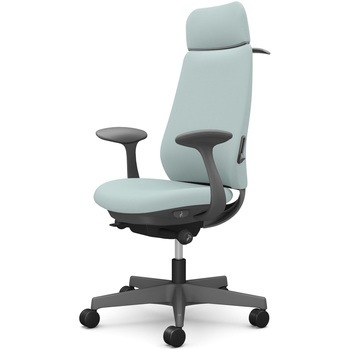 ポータムシリーズ/固定肘/背クッション/EXスタンダードタイプ/ダークグレー/ハンガー有/ランバー有/ナイロンキャスター オカムラ(岡村製作所)