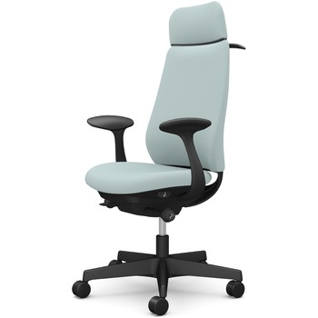 ポータムシリーズ/固定肘/背クッション/EXスタンダードタイプ/ブラックボディ/ハンガー有/ランバー無/ナイロンキャスター オカムラ(岡村製作所)