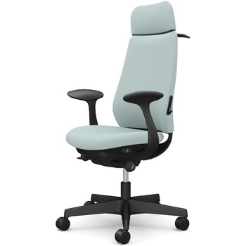 ポータムシリーズ/固定肘/背クッション/EXスタンダードタイプ/ブラックボディ/ハンガー有/ランバー有/ナイロンキャスター オカムラ(岡村製作所)