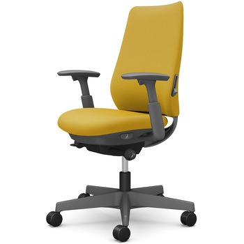 ポータムシリーズ/可動肘/背クッション/スタンダードタイプ/ダークグレー/ハンガー無/ランバー有/ナイロンキャスター オカムラ(岡村製作所)