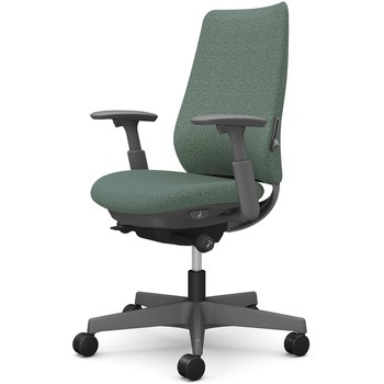 ポータムシリーズ/可動肘/背クッション/スタンダードタイプ/ダークグレー/ハンガー無/ランバー有/ナイロンキャスター オカムラ(岡村製作所)