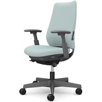 ポータムシリーズ/可動肘/背クッション/スタンダードタイプ/ダークグレー/ハンガー無/ランバー有/ウレタンキャスター オカムラ(岡村製作所)