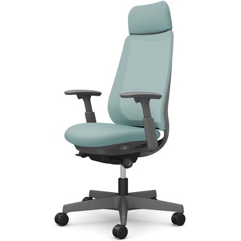 ポータムシリーズ/可動肘/背メッシュ/EXスタンダードタイプ/ダークグレーボディ/ハンガー無/ランバー無/ナイロンキャスター オカムラ(岡村製作所)