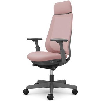 ポータムシリーズ/可動肘/背メッシュ/EXスタンダードタイプ/ダークグレーボディ/ハンガー無/ランバー無/ナイロンキャスター オカムラ(岡村製作所)