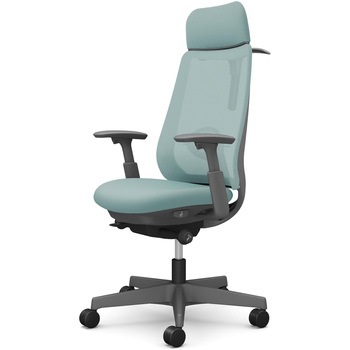 ポータムシリーズ/可動肘/背メッシュ/EXスタンダードタイプ/ダークグレーボディ/ハンガー有/ランバー有/ナイロンキャスター オカムラ(岡村製作所)