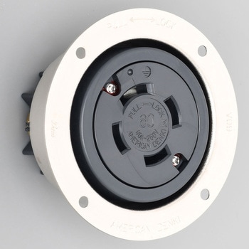 4626 ���|�` �t�����W�R���Z���g �A�����J���d�@ 1�� 26249013