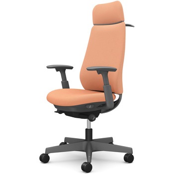 ポータムシリーズ/可動肘/背クッション/EXスタンダードタイプ/ダークグレー/ハンガー有/ランバー無/ナイロンキャスター オカムラ(岡村製作所)