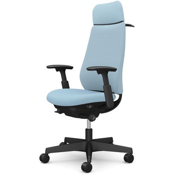 ポータムシリーズ/可動肘/背クッション/EXスタンダードタイプ/ブラックボディ/ハンガー有/ランバー無/ナイロンキャスター オカムラ(岡村製作所)