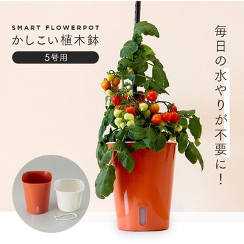 かしこい植木鉢 アイメディア
