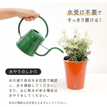 かしこい植木鉢 アイメディア