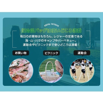 コンパクトに畳める保冷温買物バッグ アイメディア