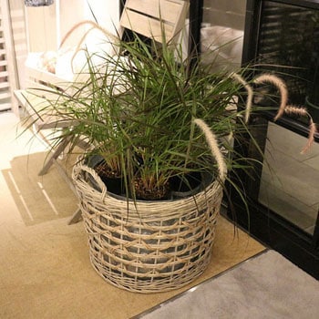 - ���E���h�o�X�P�b�g broste COPENHAGEN 26277345