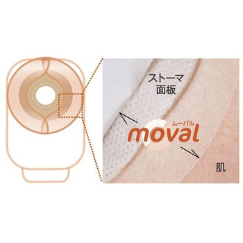 moval ムーバル 20枚×6パック skinix