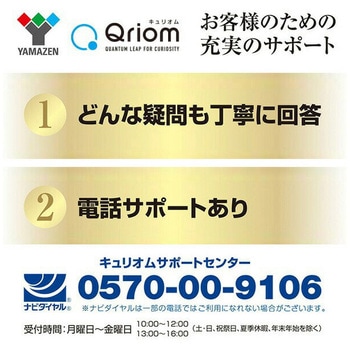 コンパクトDVDプレーヤー  CPRM HDMI対応 YAMAZEN(山善)