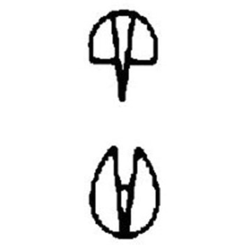 止血鉗子 マイクロ・ハルステッド 有鈎 12.5cm BHシリーズ - ビー・ブラウンエースクラップ