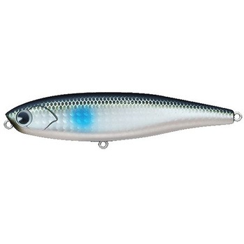 CP100-011 ���A�[ CHAPPY 100 CP100�V���[�Y �A���Y�f�U�C�� 26333897