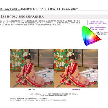 BDR-S11J-X Ultra HD Blu-ray UHDBD再生対応 特種塗装パネル SATA内蔵