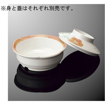 丸小鉢 大 浅型 身 S 65Bシリーズ 国際化工