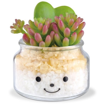 KH-61160 t@~[ LA[eBtBVO[ KHV[Y LV} 26358869