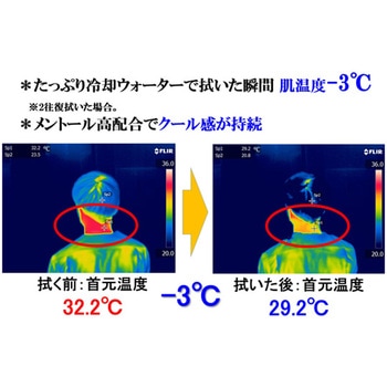 超爽快シャワー手袋 6枚×24袋入 本田洋行
