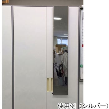 割れないミラー ドア掛 20×120 RMH-20シリーズ Jフロント建装