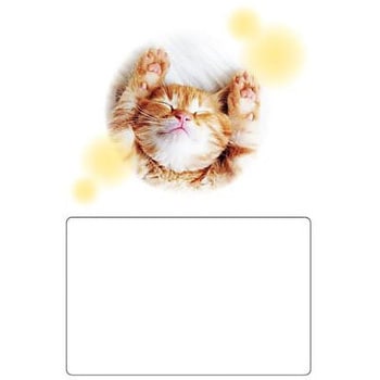 お薬手帳 ねこ ダイオープリンティング