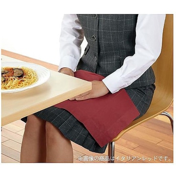 カラーナプキン8折2PLY 50枚入 2PU-28Cシリーズ きんだい