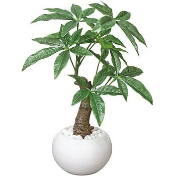 人工植物 ミニ アートクリエイション
