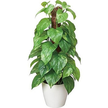 人工植物 フレッシュポールポトス 高さ480 アートクリエイション