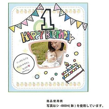 ポケット付色紙 1枚 エヒメ紙工