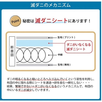 掛け布団 滅ダニ アズワン