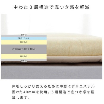 敷き布団 滅ダニ アズワン